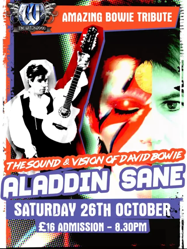 Aladdin Sane - Bowie Tribute - Saturday Oct 26th 2024